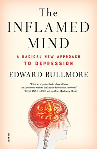 Cover of The Inflamed Mind
